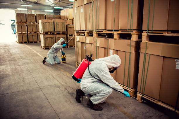 Pest Prevention Services in Dent, OH
