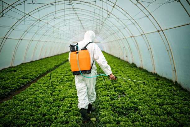 Best Pest Removal Services  in Dent, OH