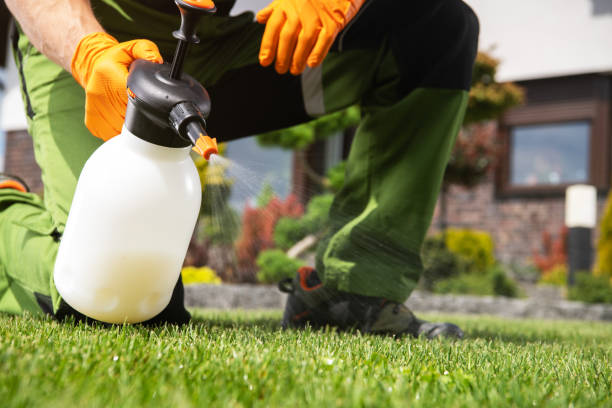Flea Control Services in Dent, OH