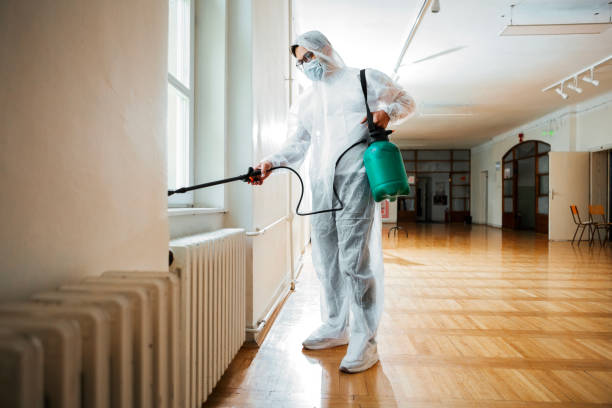 Best Exterminator Services  in Dent, OH