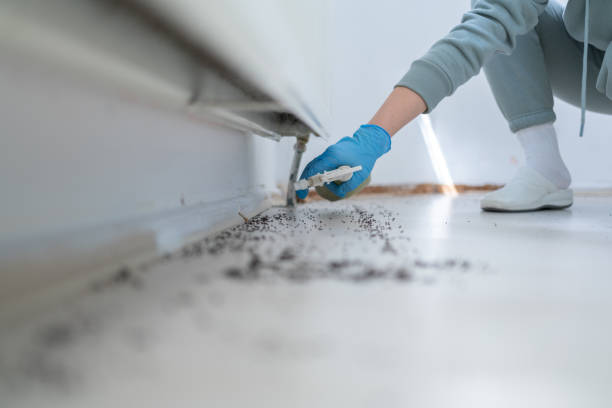Best Pest Control for Restaurants  in Dent, OH